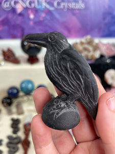 Obsidian Raven