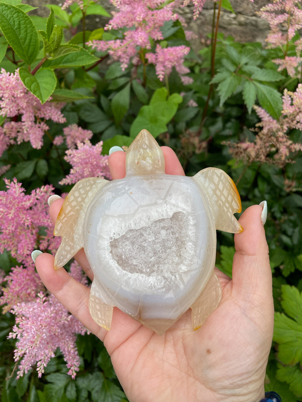 Druzy Agate Turtle Carving