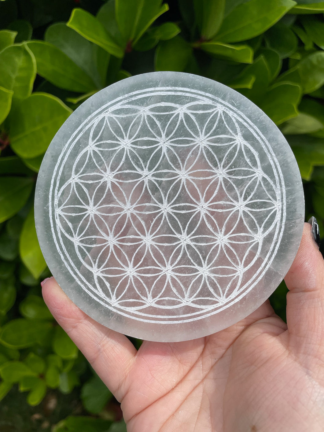 Satin Spa Selenite Flower of Life Grid Carving