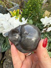 Load image into Gallery viewer, Silver Sheen Obsidian Sleeping Cat Carving
