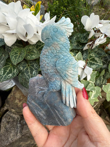 Trolleite Blue Parrot Bird Carving