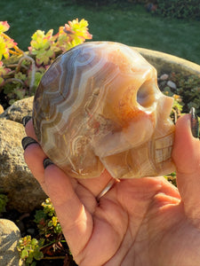 Amethyst and Crazy Lace Agate Skull Carving from Mexico