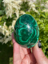 Load image into Gallery viewer, Malachite Egg
