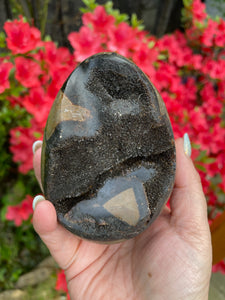 Black Septarian Egg Carving