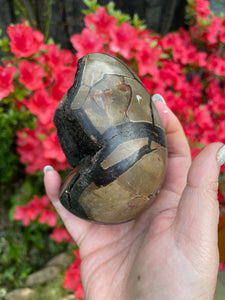 Black Septarian Egg Carving