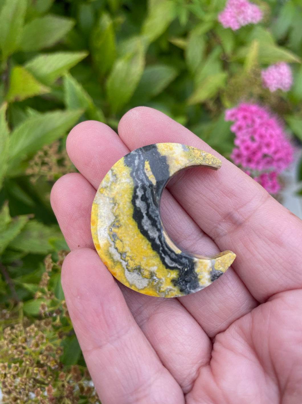 Bumblebee Jasper Moon