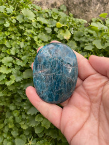 Apatite Palmstone