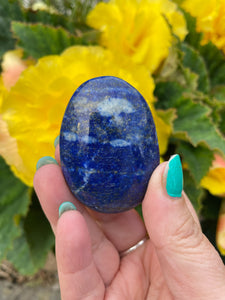 Quality Lapis Lazuli Palmstone