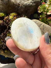 Load image into Gallery viewer, Blue Flash Moonstone Palmstone
