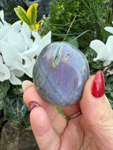 Pink Flash Labradorite Palmstone