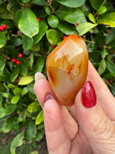 Load image into Gallery viewer, Carnelian Palmstone
