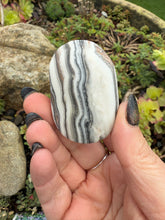 Load image into Gallery viewer, Zebra Calcite Palmstone
