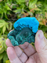 Load image into Gallery viewer, Chrysocolla and Malachite Specimen
