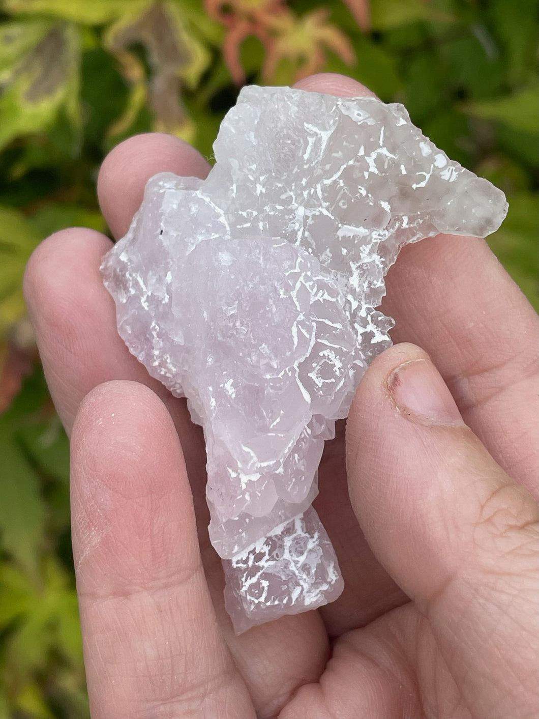 Crystalline Rose Quartz Specimen