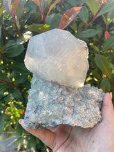 Load image into Gallery viewer, Calcite and Fluorite Crystal
