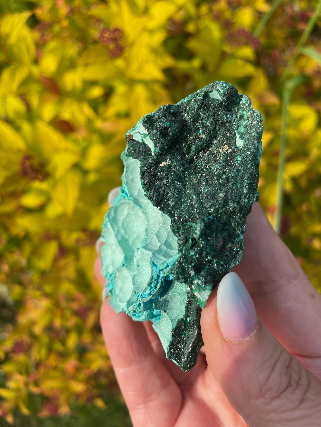 Chrysocolla and Malachite Specimen from Zaire