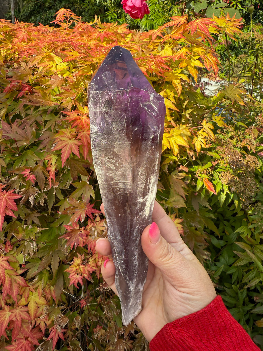 Amethyst Root Specimen