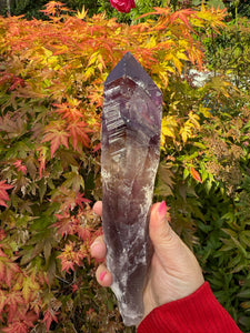 Amethyst Root Specimen