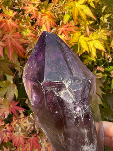 Amethyst Root Specimen