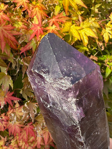 Amethyst Root Specimen