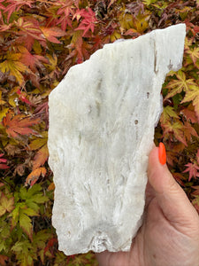 Bubble Fluorite on Calcite Matrix Specimen