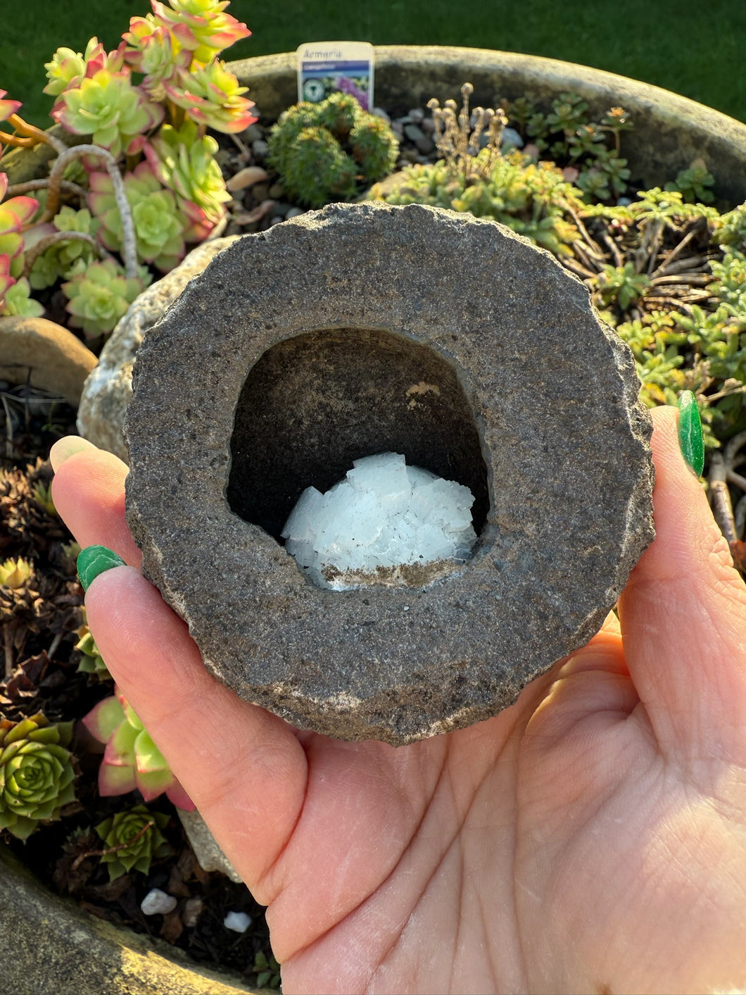 Stellerite in Geode Specimen