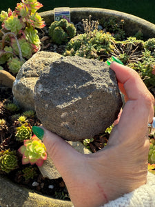 Stellerite in Geode Specimen