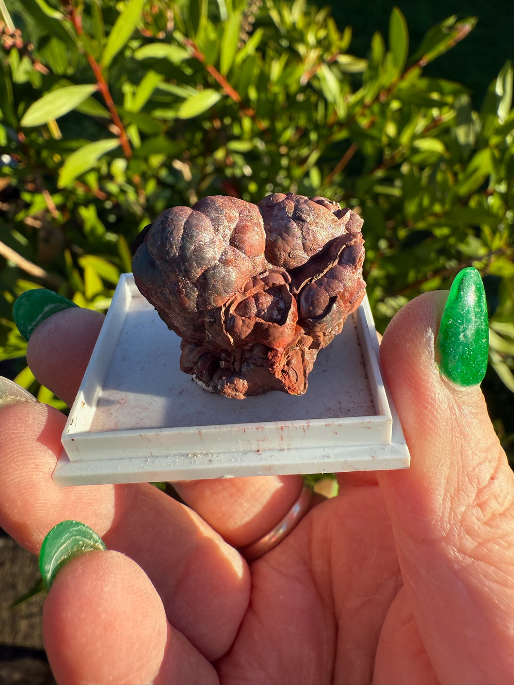 Hematite kidney Ore Specimen from UK