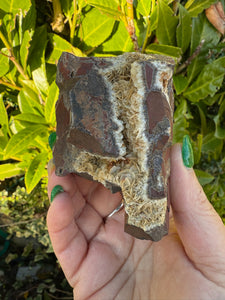 Siderite Specimen from Wales UK