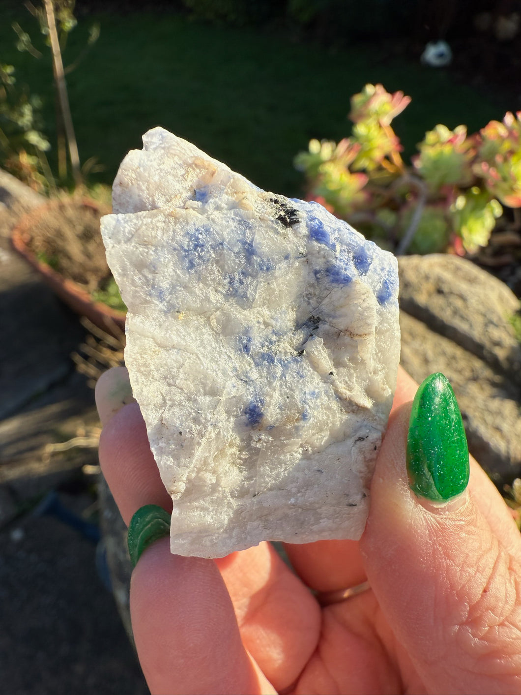 Rough Sodalite Specimen from Ontario Canada