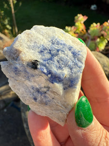 Rough Sodalite Specimen from Ontario Canada