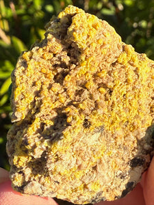 Mimetite Specimen from Cumbria UK