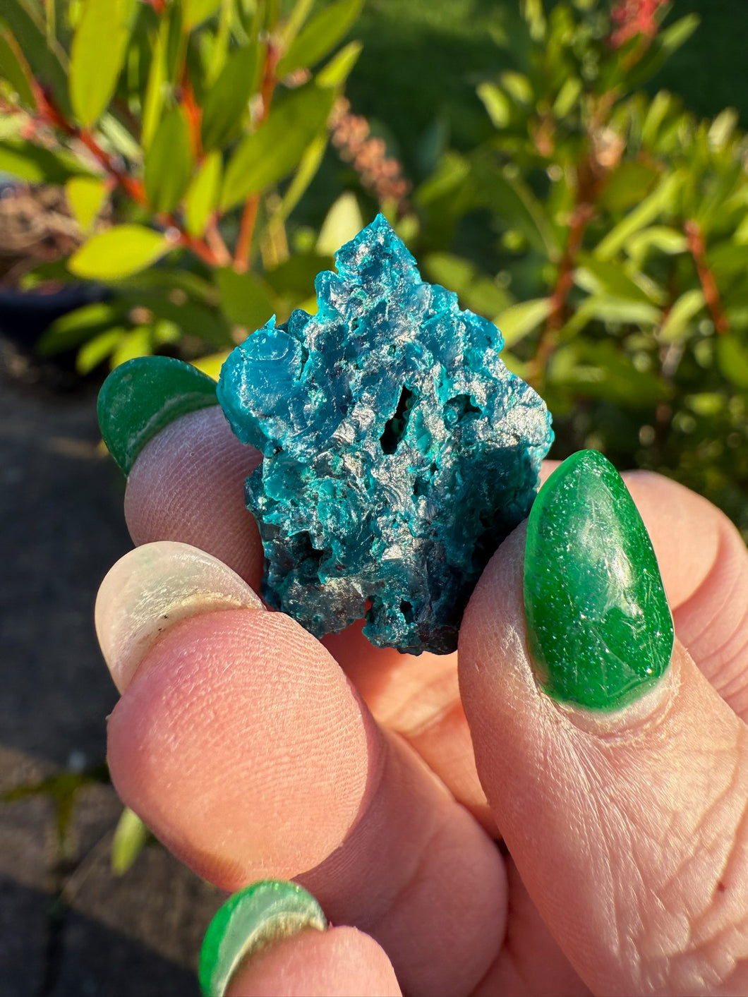 Gem Silica with Chrysocolla and Opal Specimen