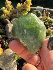 Gemmy Polished Diopside Specimen