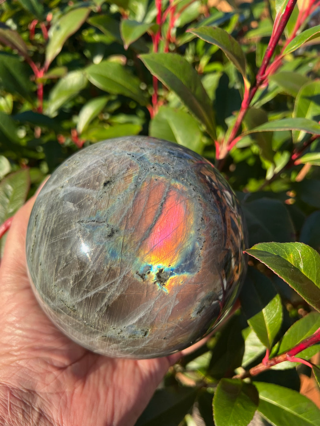 Large Pink Flash Labradorite Sphere 13cm diameter