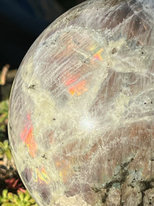 Large Pink Flash Labradorite Sphere 13cm diameter