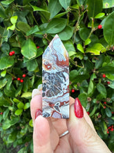 Load image into Gallery viewer, Incredible Crazy Lace Agate Tower from Mexico
