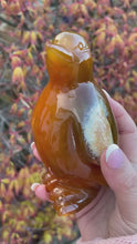 Load and play video in Gallery viewer, Large Druzy Agate Penguin Carving
