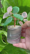 Load and play video in Gallery viewer, Fluorite, Rose Quarts, and Aventurine Tree
