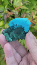 Load and play video in Gallery viewer, Chrysocolla and Malachite Specimen
