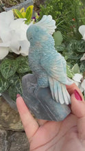 Load and play video in Gallery viewer, Trolleite Blue Parrot Bird Carving
