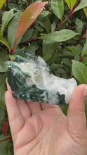 Load and play video in Gallery viewer, Moss Agate Dragon Head
