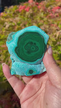 Load and play video in Gallery viewer, Malachite and Chrysocolla Stalactite Specimen
