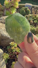 Load and play video in Gallery viewer, Gemmy Polished Diopside Specimen
