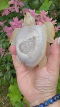 Load and play video in Gallery viewer, Druzy Agate Turtle Carving
