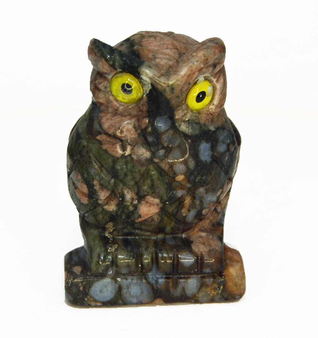 Que Sera Carved Owl